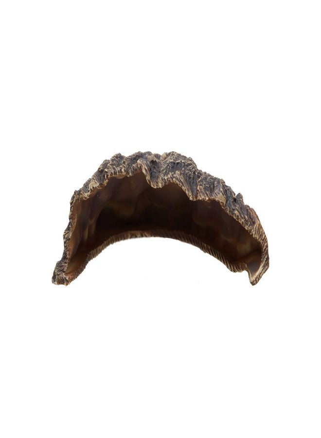 Plecoceramics كهف حوض السمك من السيراميك - ديكور حوض سمك بيتا من السيراميك - ديكور حوض سمك طبيعي - مخبأ كبير للزواحف - مخبأ كهف للأسماك - مخبأ للثعابين - كهف لأسماك السيكلد والبليكو (كهف) - Image 4